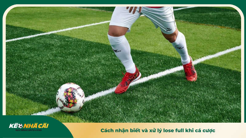 Cách nhận biết và xử lý lose full khi cá cược