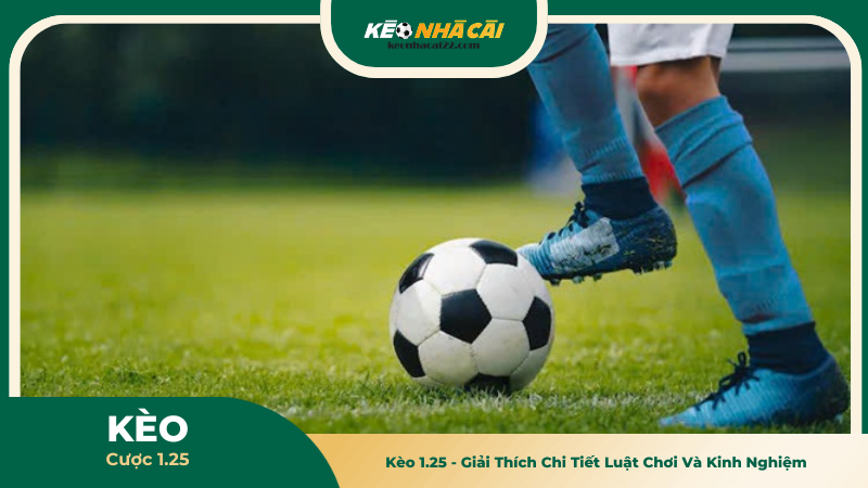 Kèo 1.25 - Giải Thích Chi Tiết Luật Chơi Và Kinh Nghiệm