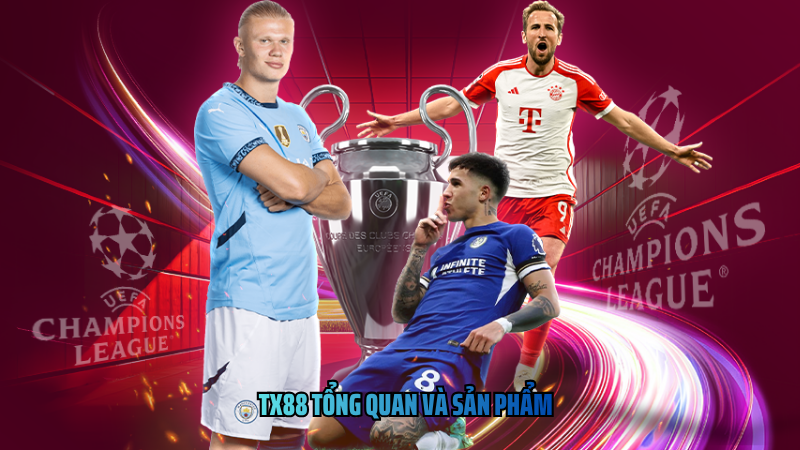 TX88 tổng quan và sản phẩm